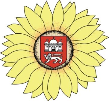 Norwich in Bloom Website